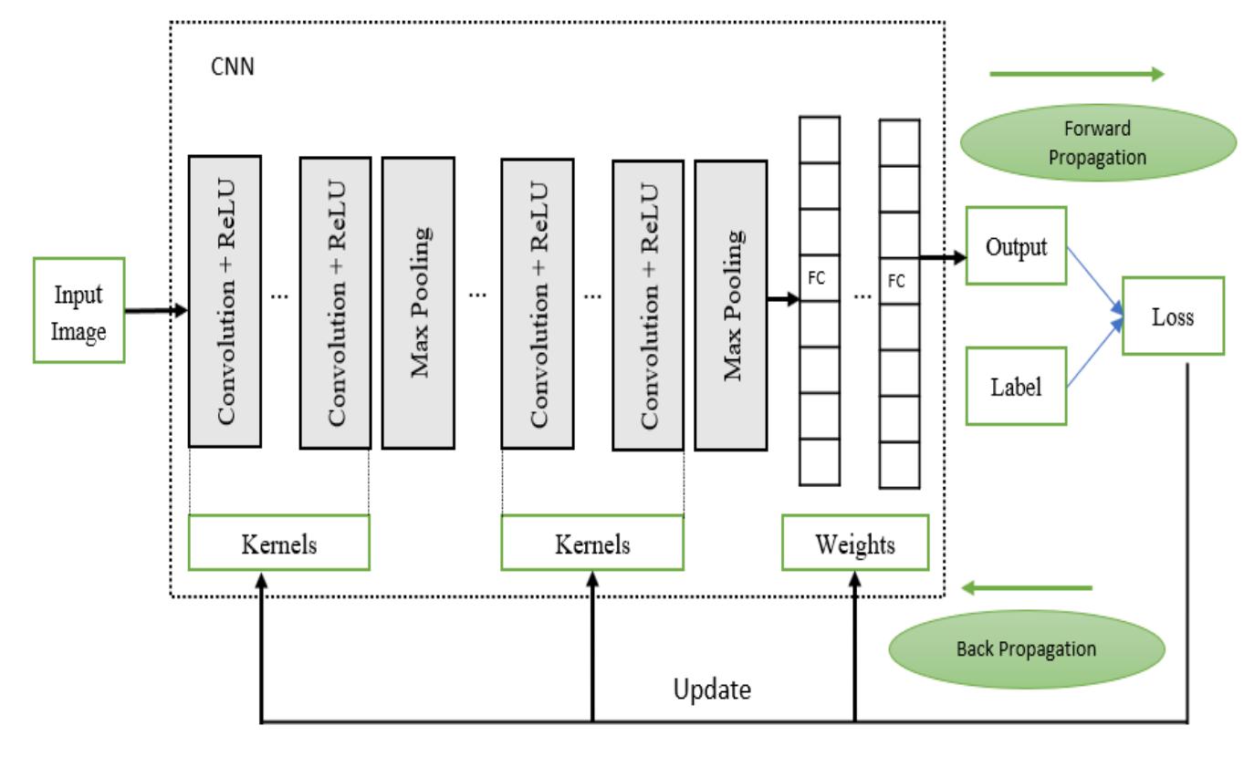 (PDF) Image Compression Based on Deep Learning: A Review