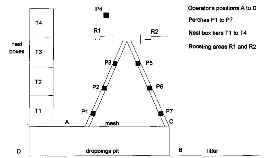Perchery System Rearing (PDF) Working practices in a perchery system, using the OVAKO Working ...