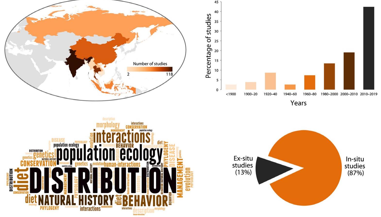 (PDF) A strategic road map for conserving the Endangered dhole Cuon ...