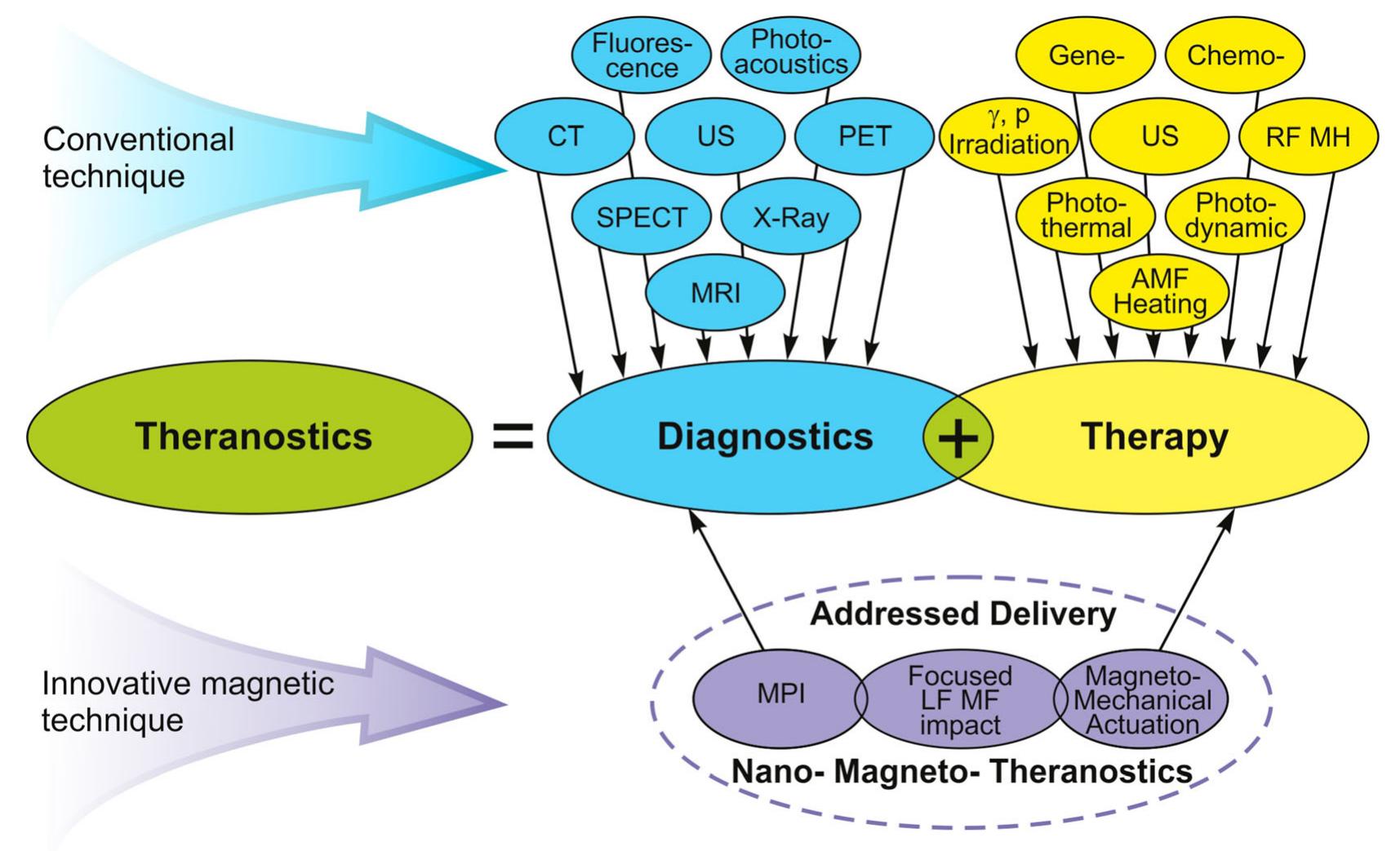 (PDF) Theranostic multimodal potential of magnetic nanoparticles ...