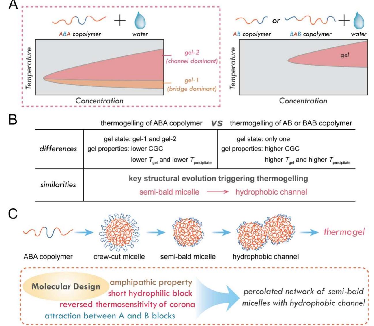 (PDF) Thermogelling of Amphiphilic Block Copolymers in Water: ABA Type ...