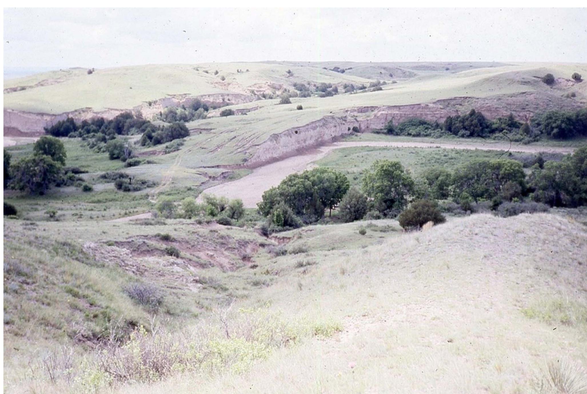 Figure 8. An ideal High Plains environment for hunter-gatherer occupation: the dissected valley of Lewis Canyon, Logan County, Colorado. Photo near the Donovan site (Scheiber and Reher 2007). (Photo by Mike Toft.) 
