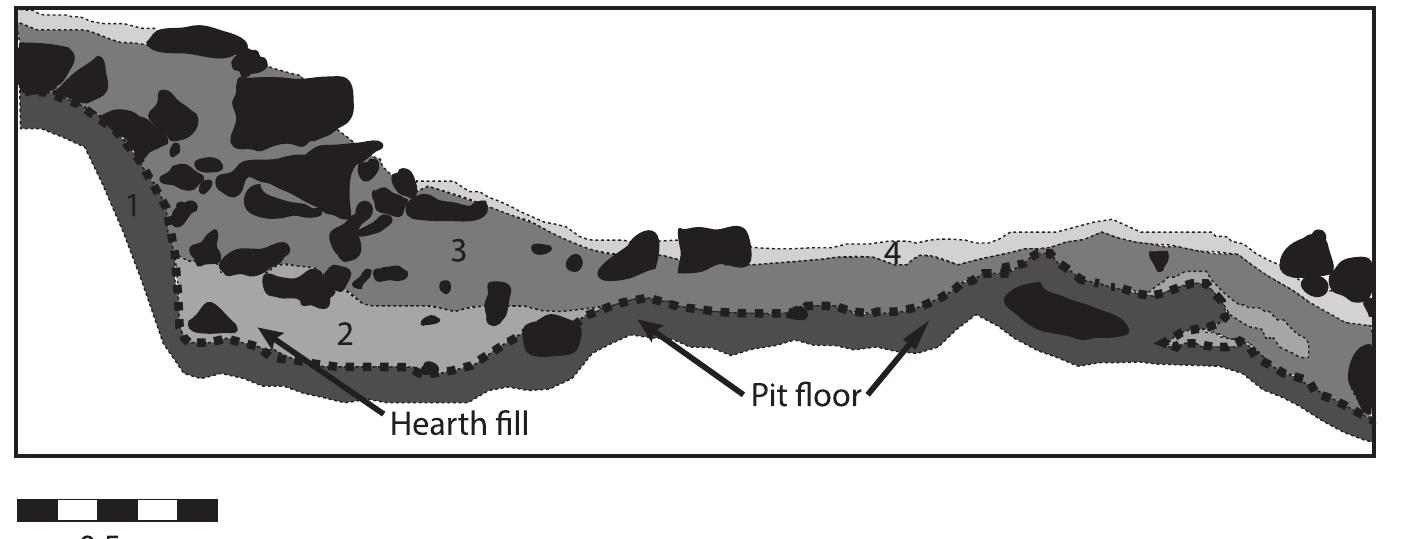 Fig. 8. Cross-section of Pit 71, excavated by Byron Olson. Unit 1 represents an undisturbed C horizon. The bottom of the hunting blind was found along the contact between Units 1 and 2. Unit 2 is charcoal fill, with a hearth located along the floor of the pit fill. Charcoal from the hearth yielded a calibrated date of 1208—978 BC. Unit 3 is colluvium that has filled the pit since time of initial construction. Unit 4 is a thin A horizon formed along the pit fill. Rocks are depicted as black polygons. 