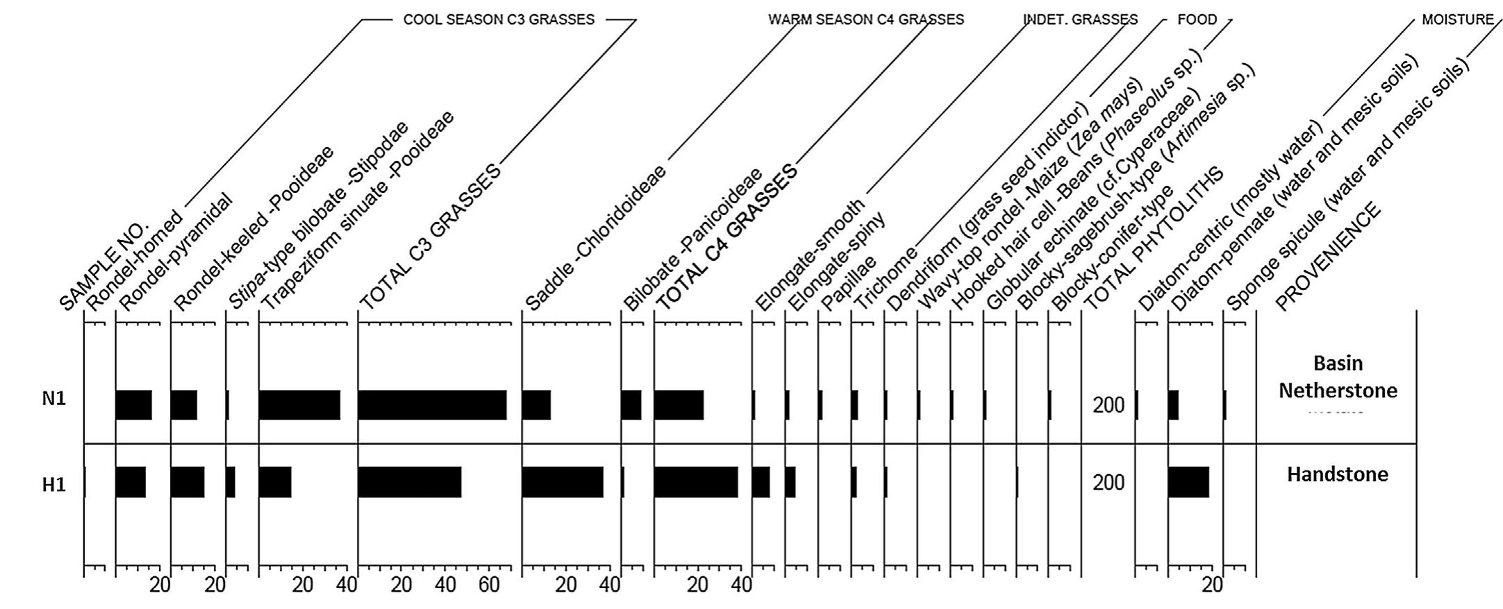 Fig. 11. Phytolith results from handstone (H1) and basin netherstone (N1), Olson site. Data from Yost and Cummings (2011). 
