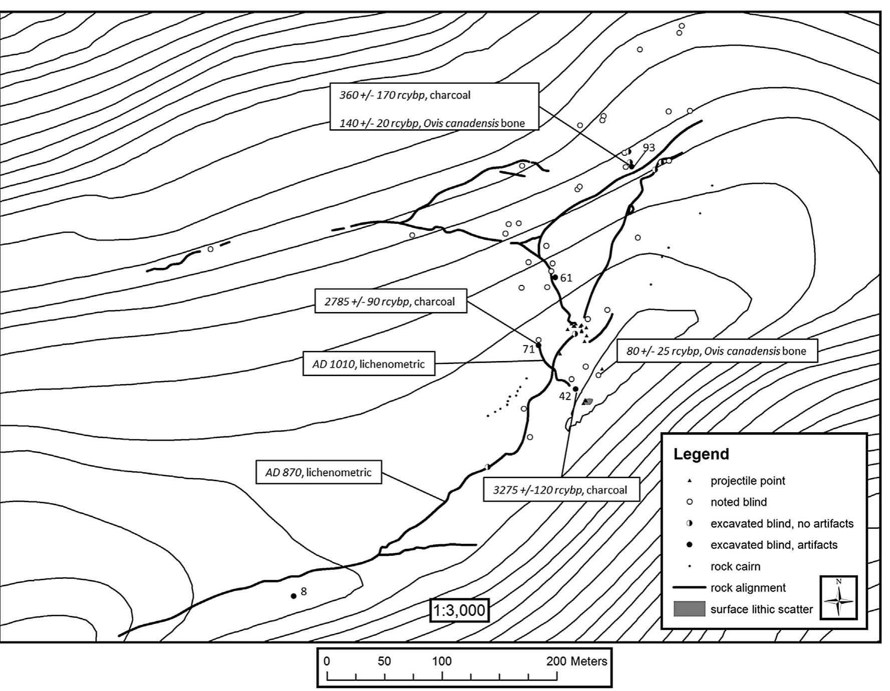 Fig. 13. Plan view map of the Olson game drive depicting locations of chronometric dates, excavated and unexcavated blinds, and projectile points. 