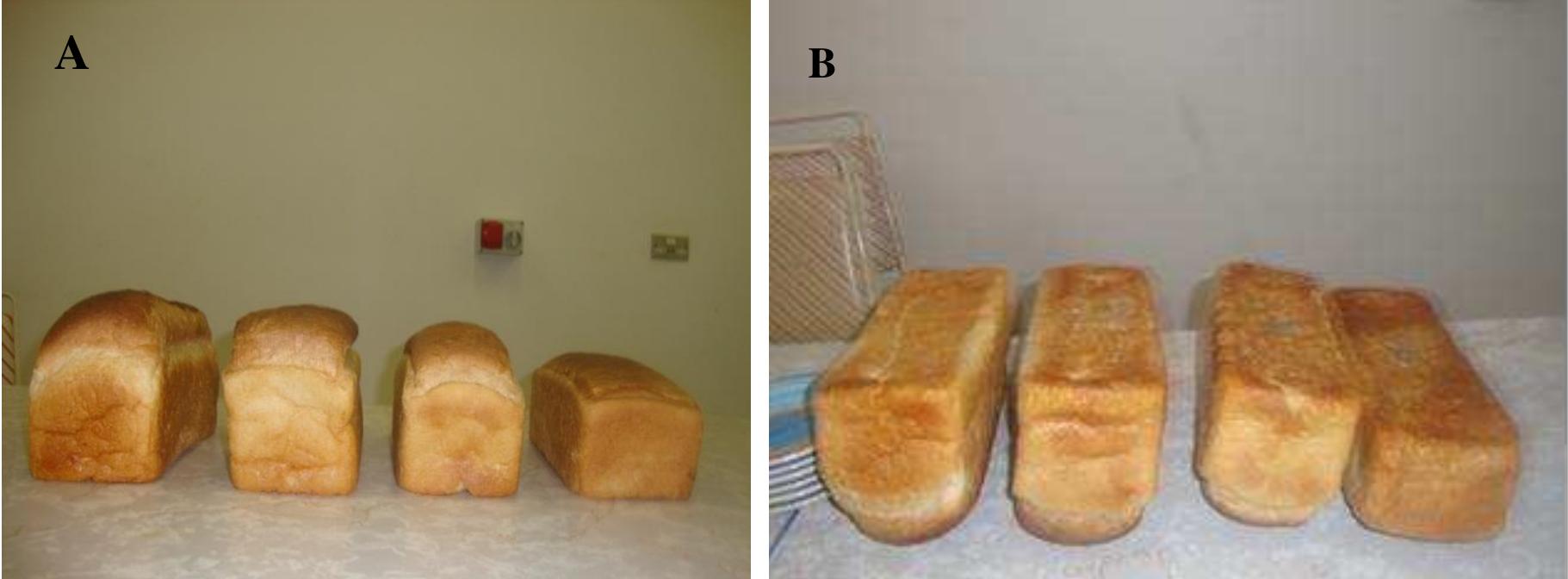 (PDF) Rheological Properties and Bread Making Quality of White Grain ...