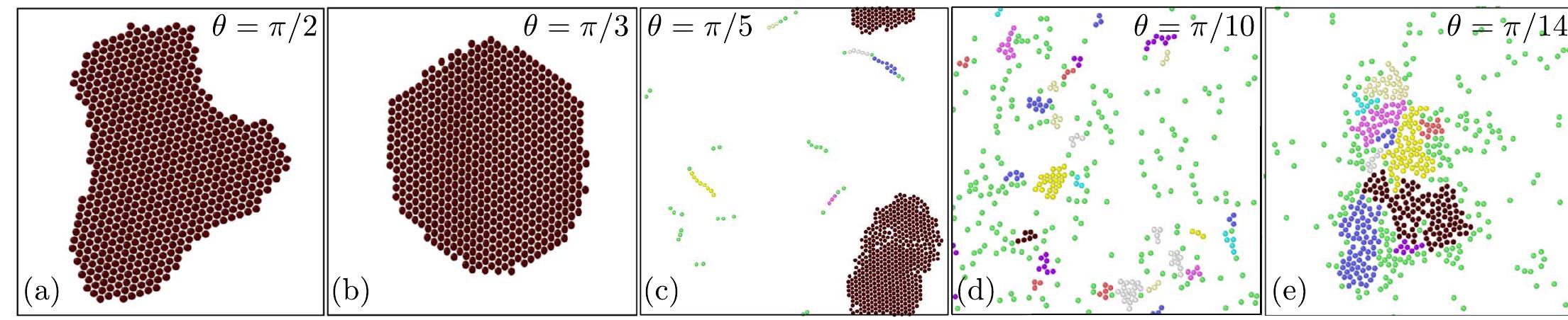Snapshot of iabp structures for various vision angles: (a)