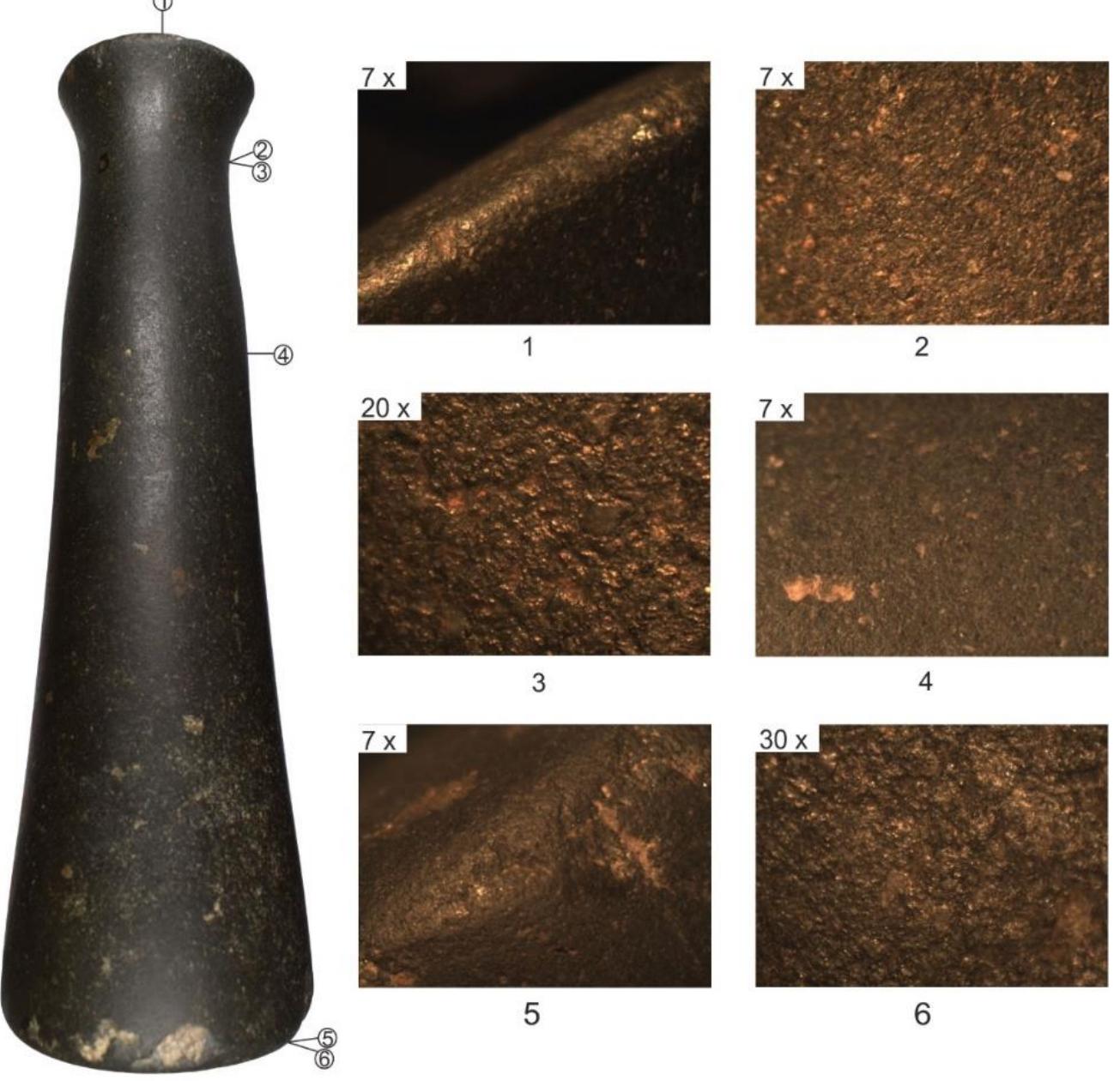 Fig. 4. Microscopic details of the proximal (1) and distal (5-6) extremities, neck (2-3) and midline (4). 