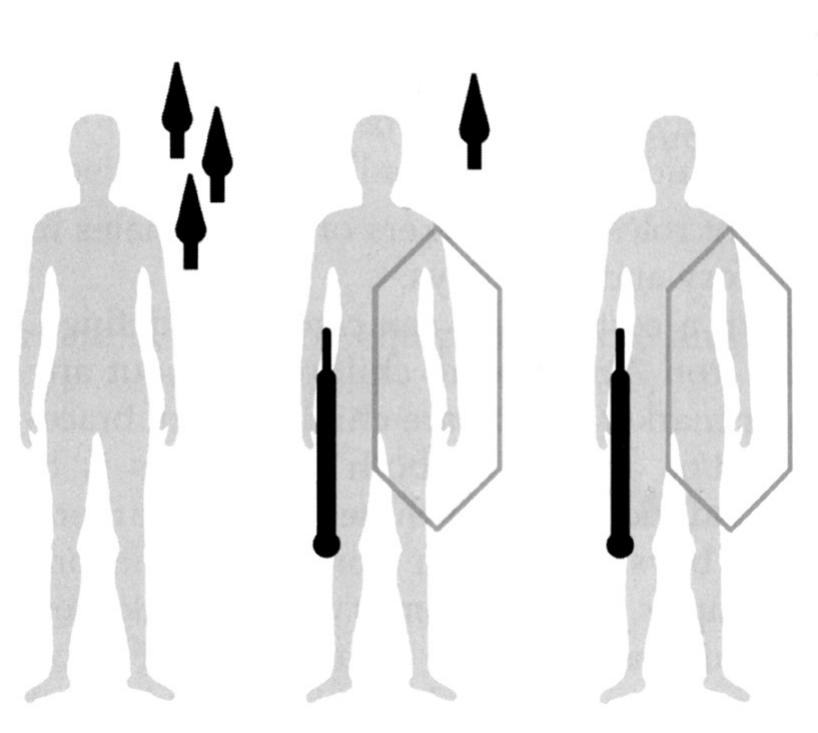 Fig. 1. Different types of panoplies (“combat classes”) in graves from Central Europe (after Ramsl 2020).  tion with the deceased. As a consequence, the manner in which funerary inven- tories were assembled was designed to memorialize the individual persona of the deceased while also highlighting the defining elements of their social identity which were also relevant for the status of their heirs (Williams 2003, 10; Well: 2007, 472-474; Rustoiu 2008, 90-91). From this perspective, the placing of weap- onry in graves — either complete panoplies or single relevant items — played an important social role. In both cases, the aim was to display the weaponry in orde1 to be seen by others and to convey precise visual and symbolic messages (Well: 2008): the power that is granted by possessing these weapons; the membership tc a (cultural or social) group whose status is defined symbolically by the right anc privilege to bear weapons (Rustoiu, Berecki 2015, with bibliography).  The analysis of the funerary inventories indicates that both in the “Celtic’  