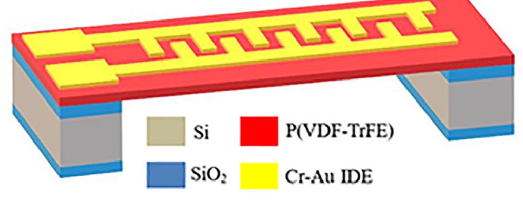 Figure 1 - from Simulation and analysis of P(VDF-TrFE)