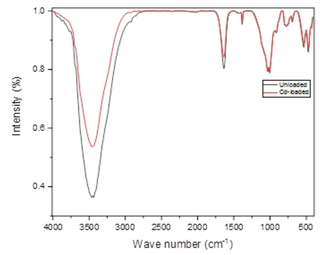 Ftir spectrum of mc before and after adsorption.