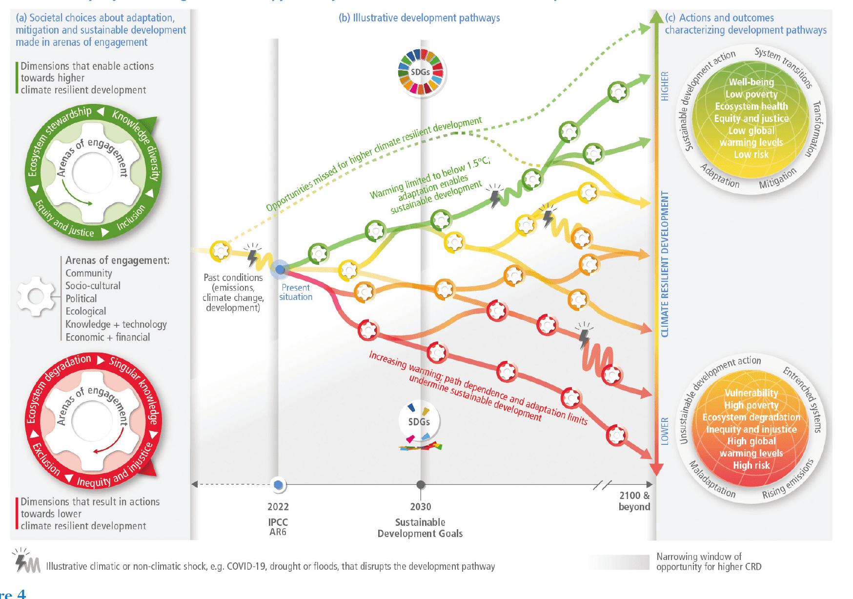 (PDF) The Concept of Adaptation