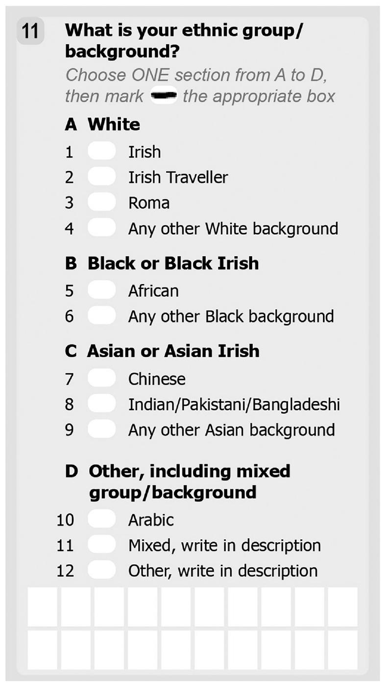 Figure 1.1 2022 Ireland census question on ethnic group/background. 