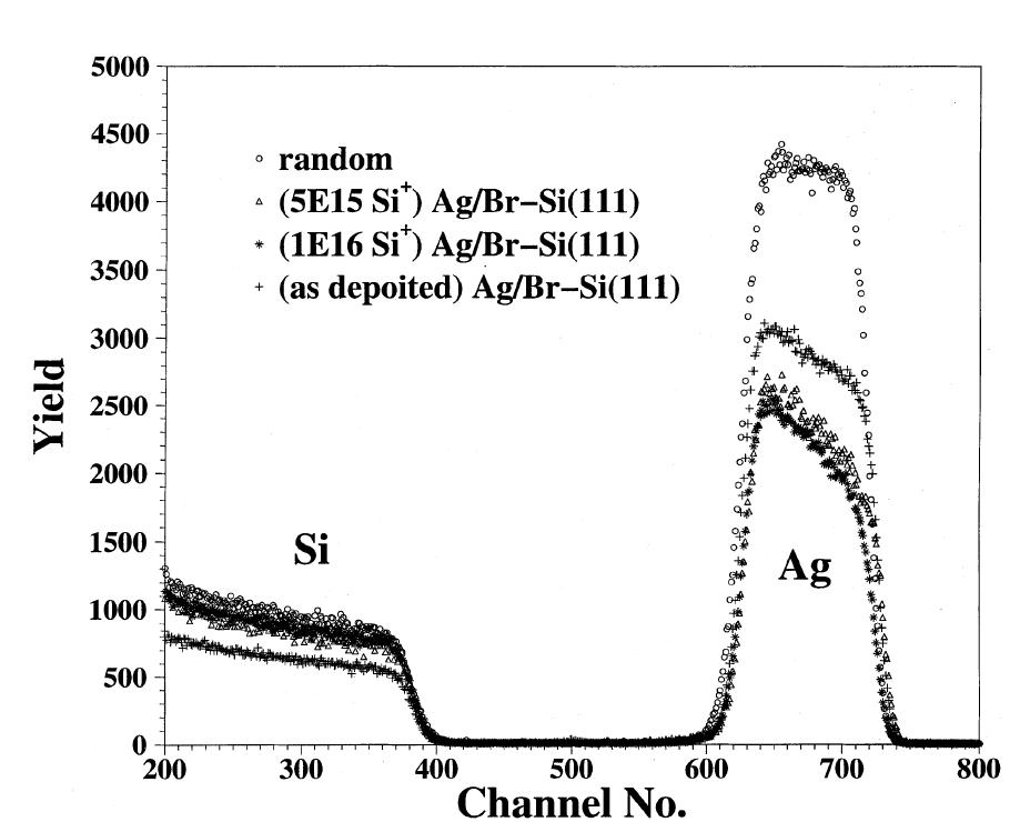 Channeling Rbs Plan view transmission electron micrograph from an ag(1 1 1)