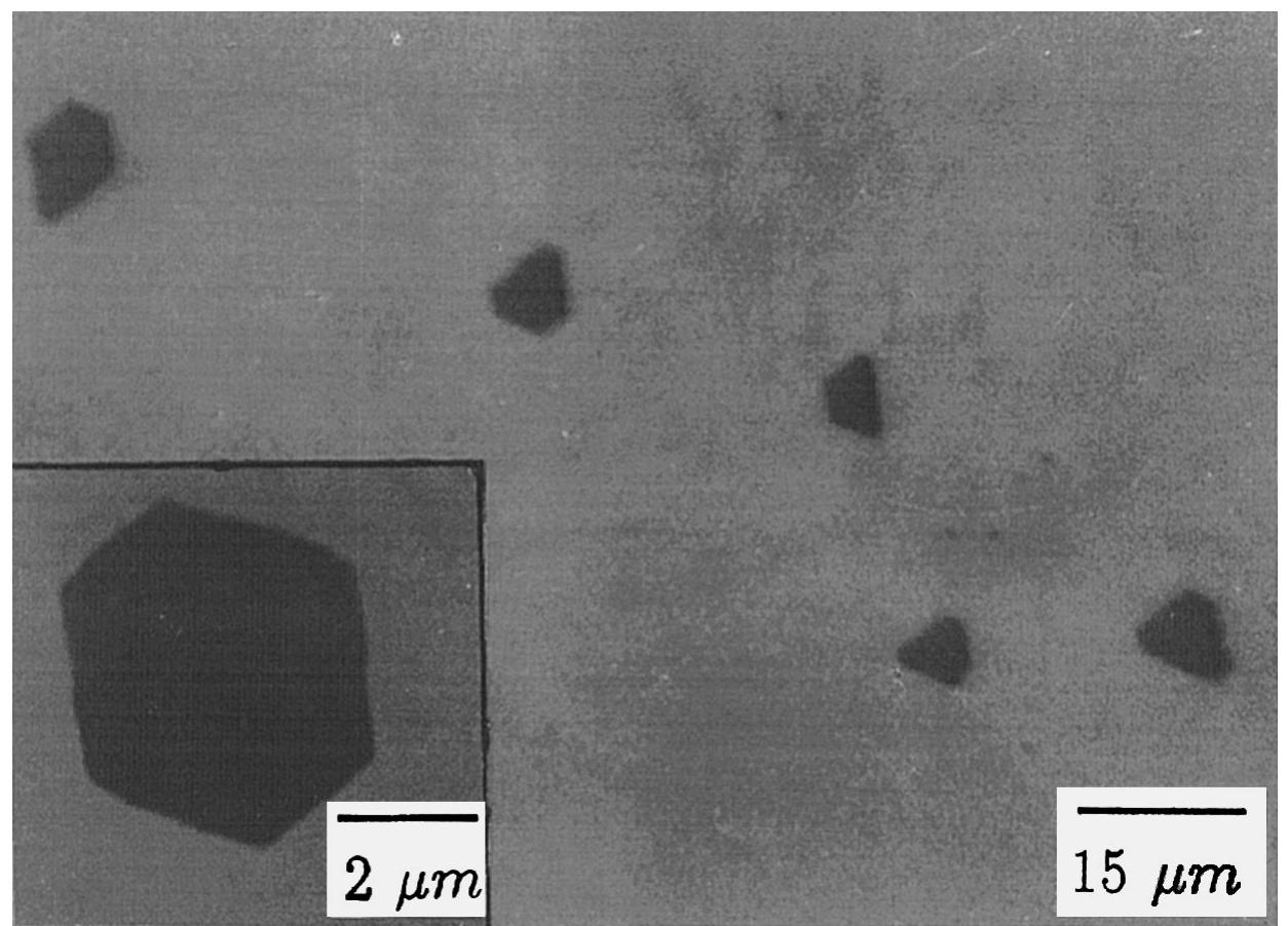 Plan view transmission electron micrograph from an ag(1 1 1)