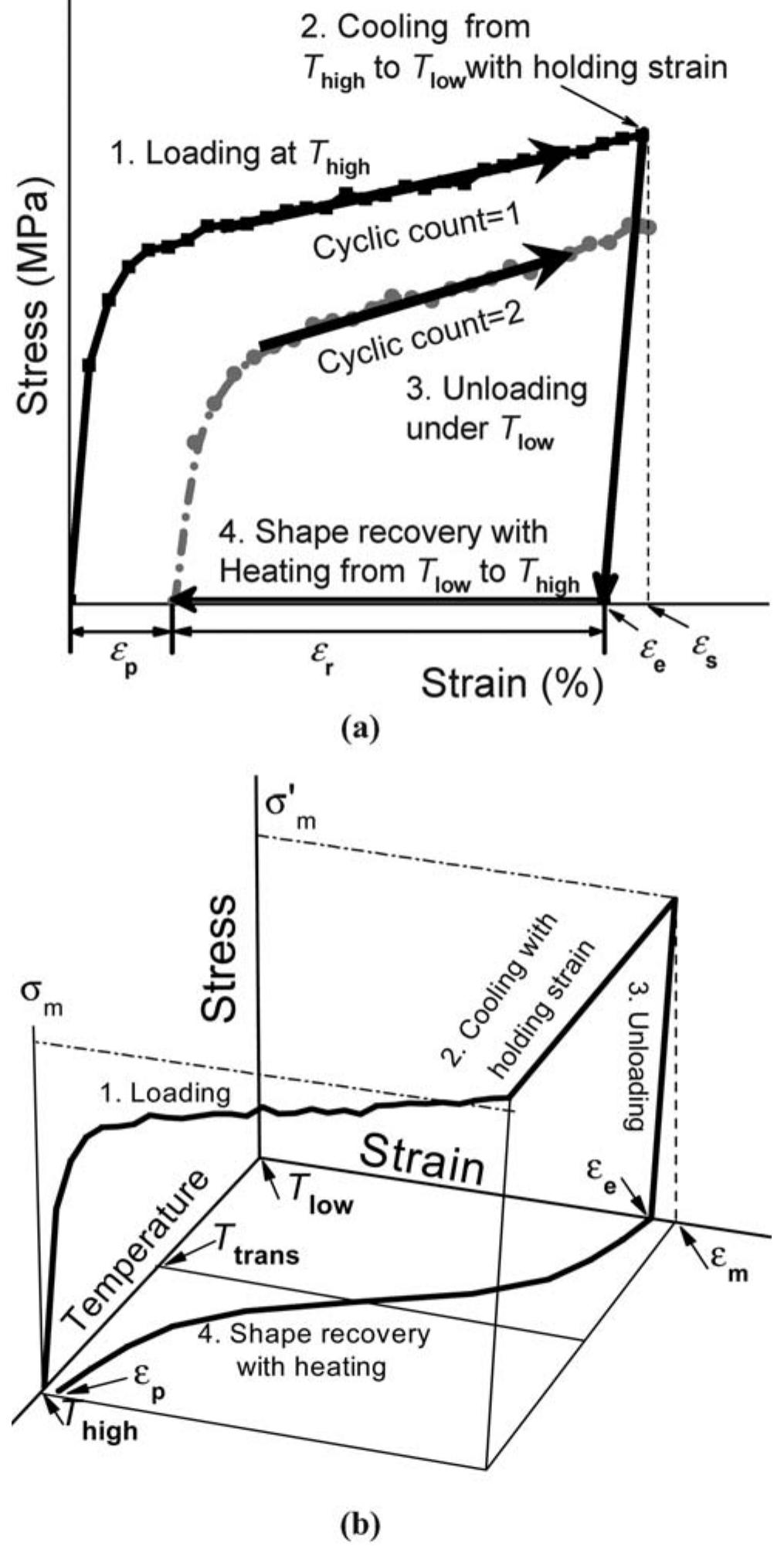 Schematic Drawings Of Cyclic Tensile Testing A 2 D And 