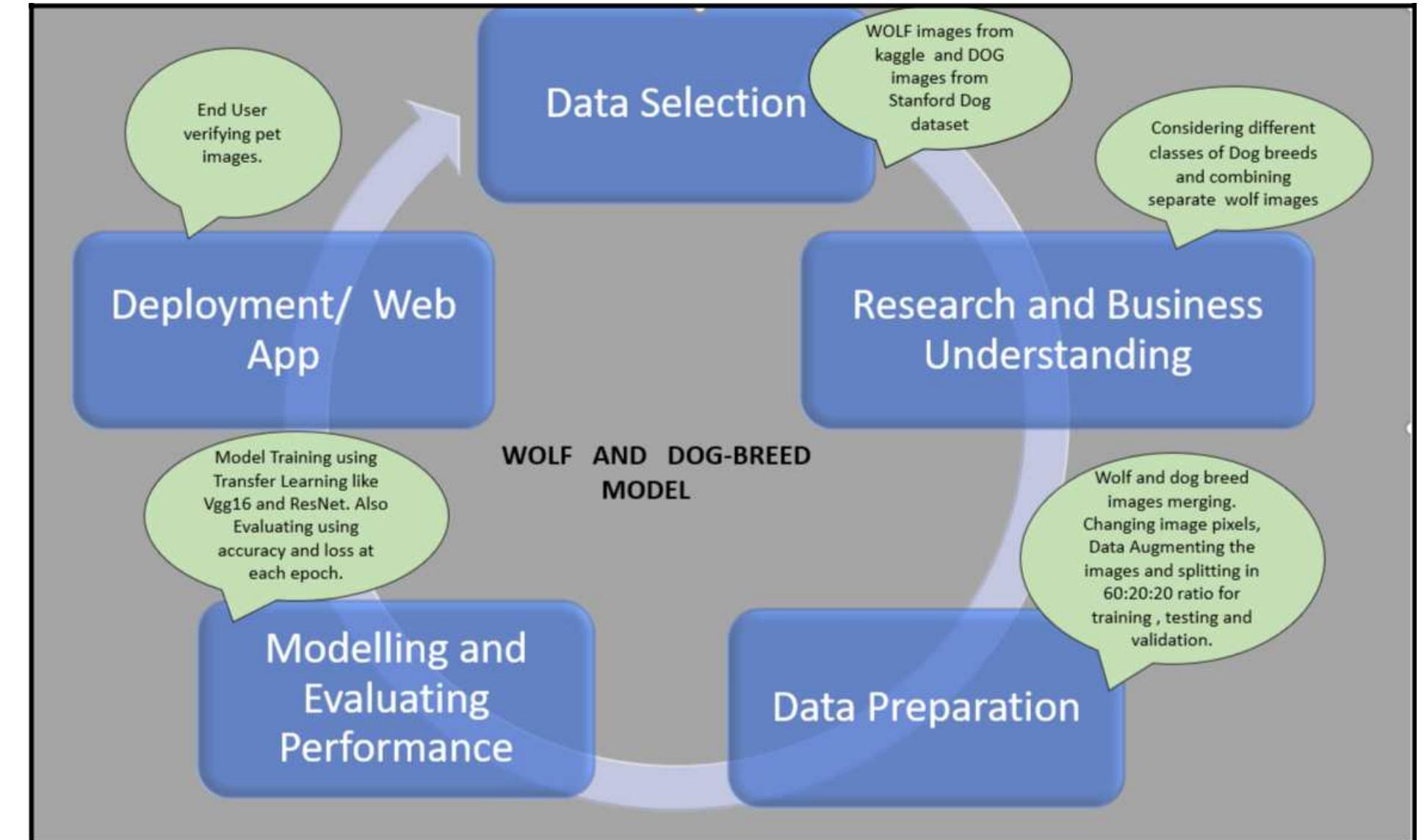 (PDF) Wolf and Dog Breed Image Classification Using Deep Learning ...