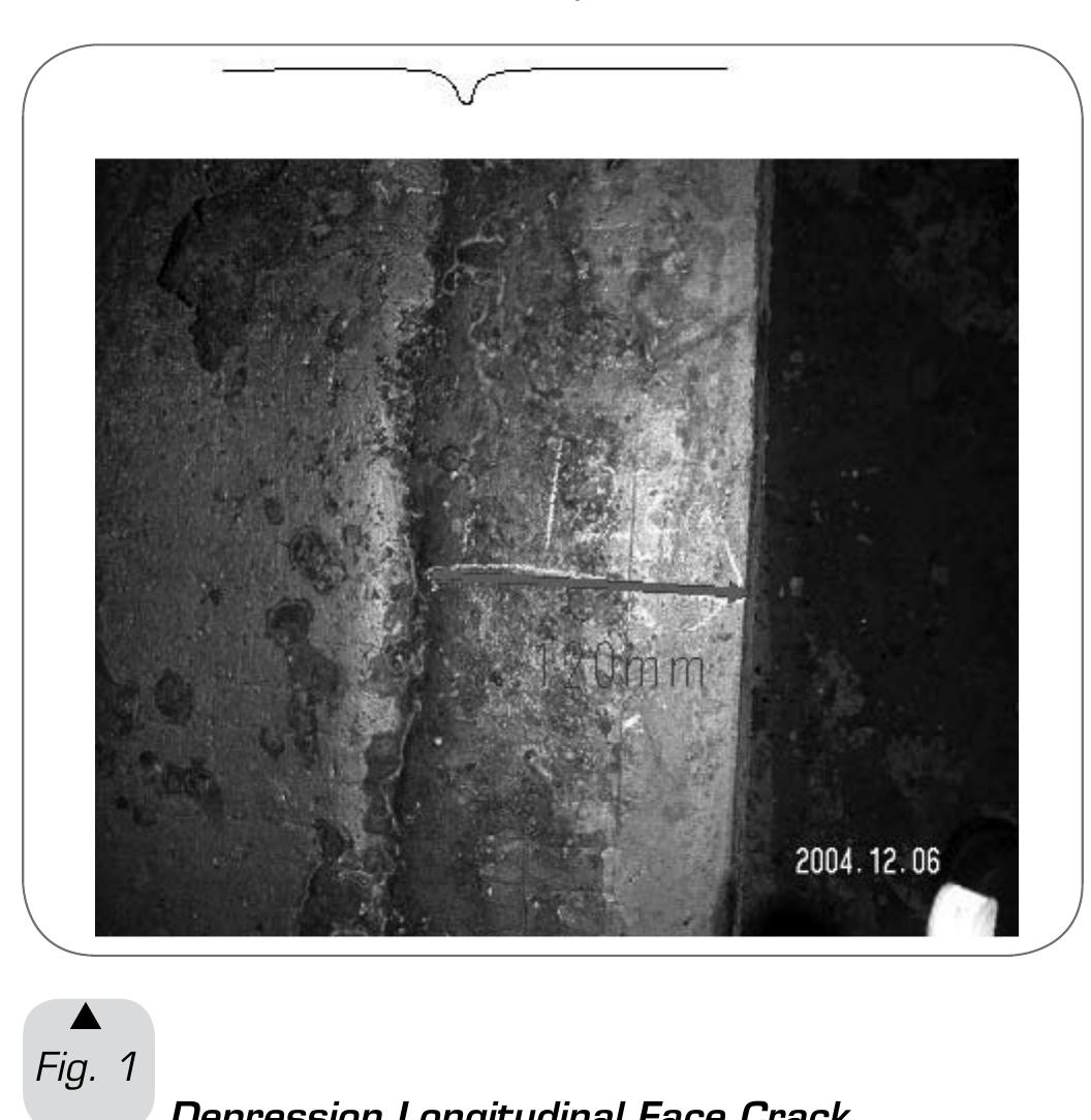 (PDF) Longitudinal Face Crack Prediction with Thermo-Mechanical Models ...