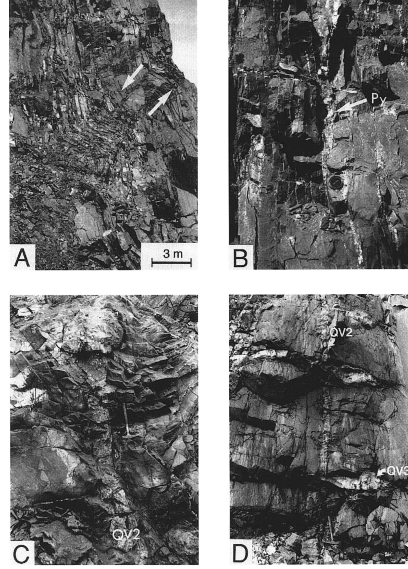 (PDF) Intrusion-related, high-temperature gold quartz veining in the ...