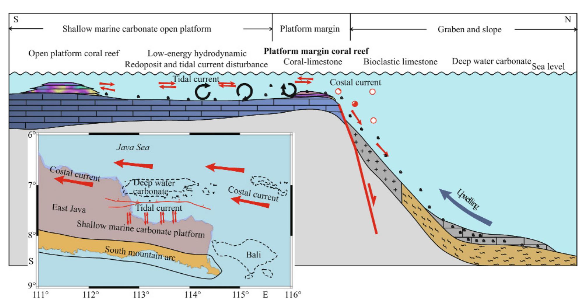 Platform Reef Examples (PDF) Formation and evolution of the tertiary carbonate reefs in the ...
