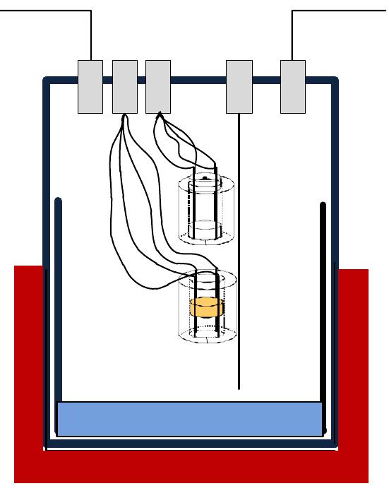 Schematic description of the autoclave setup: t1= j- type