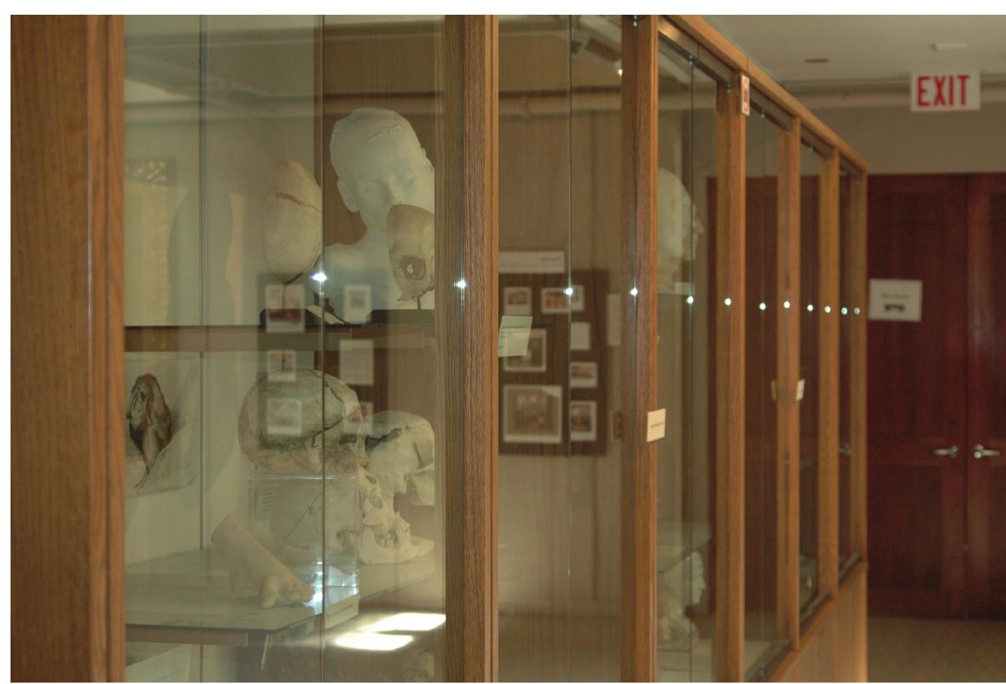 Figure 22.4: Warren Museum exhibit. 