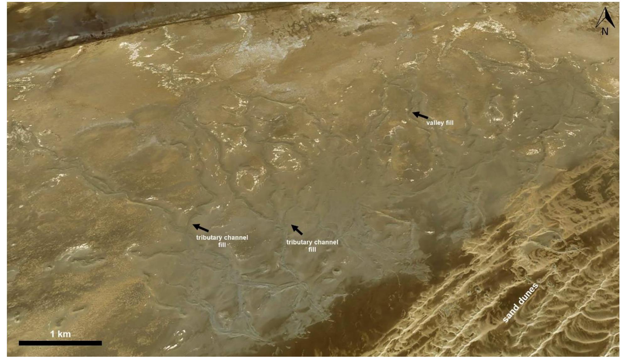 Desert Inversion (PDF) Global inventories of inverted stream channels on Earth and Mars
