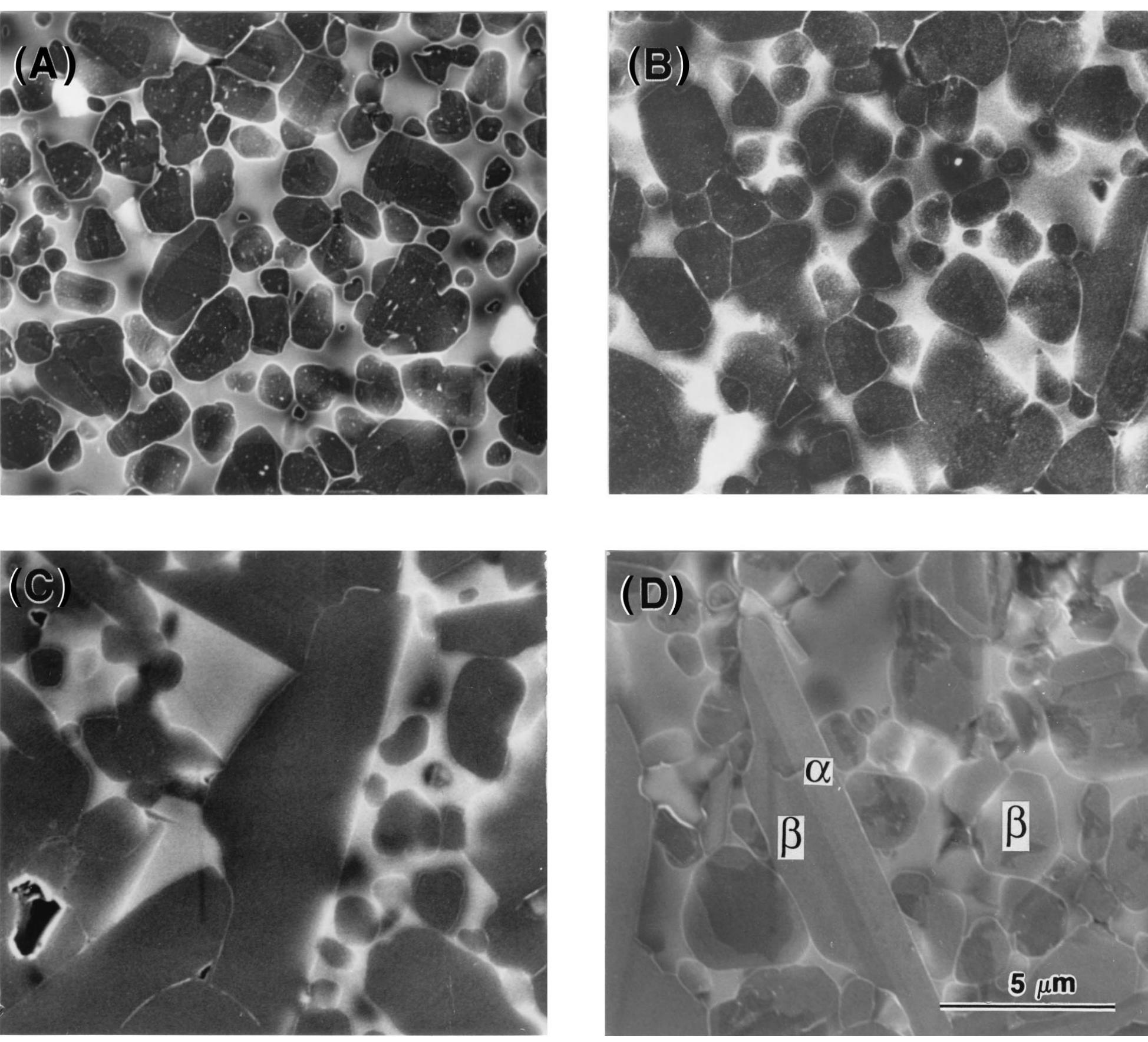 (PDF) Microstructural Evolution in Liquid-Phase-Sintered SiC: Part I ...