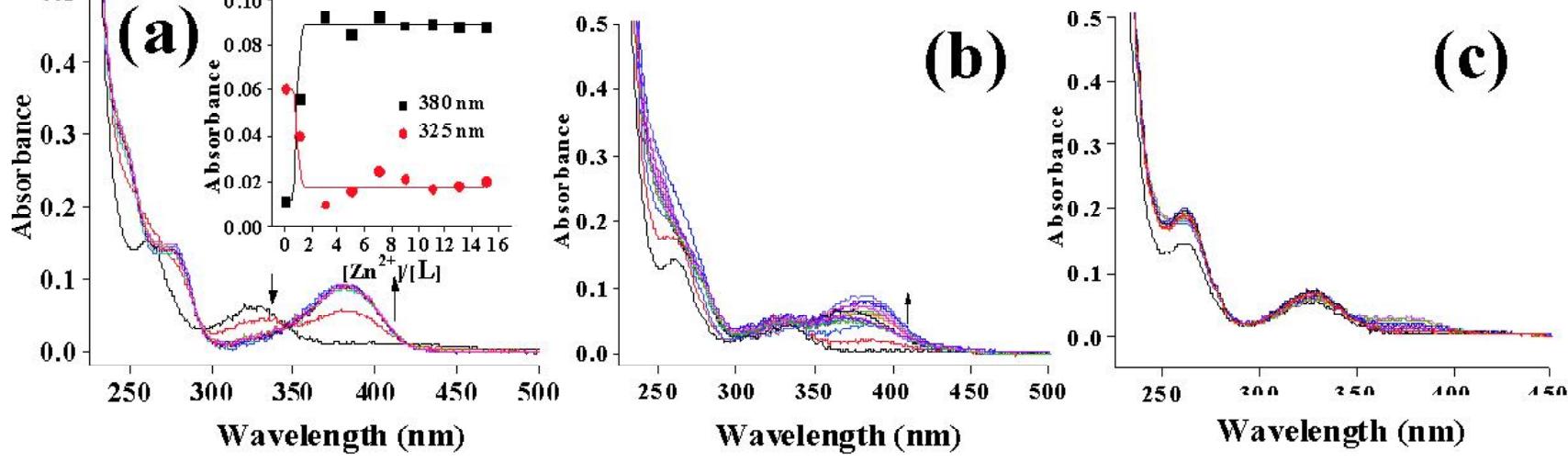 (PDF) Selective recognition of Zn2+ by a triazole linked thiophene ...