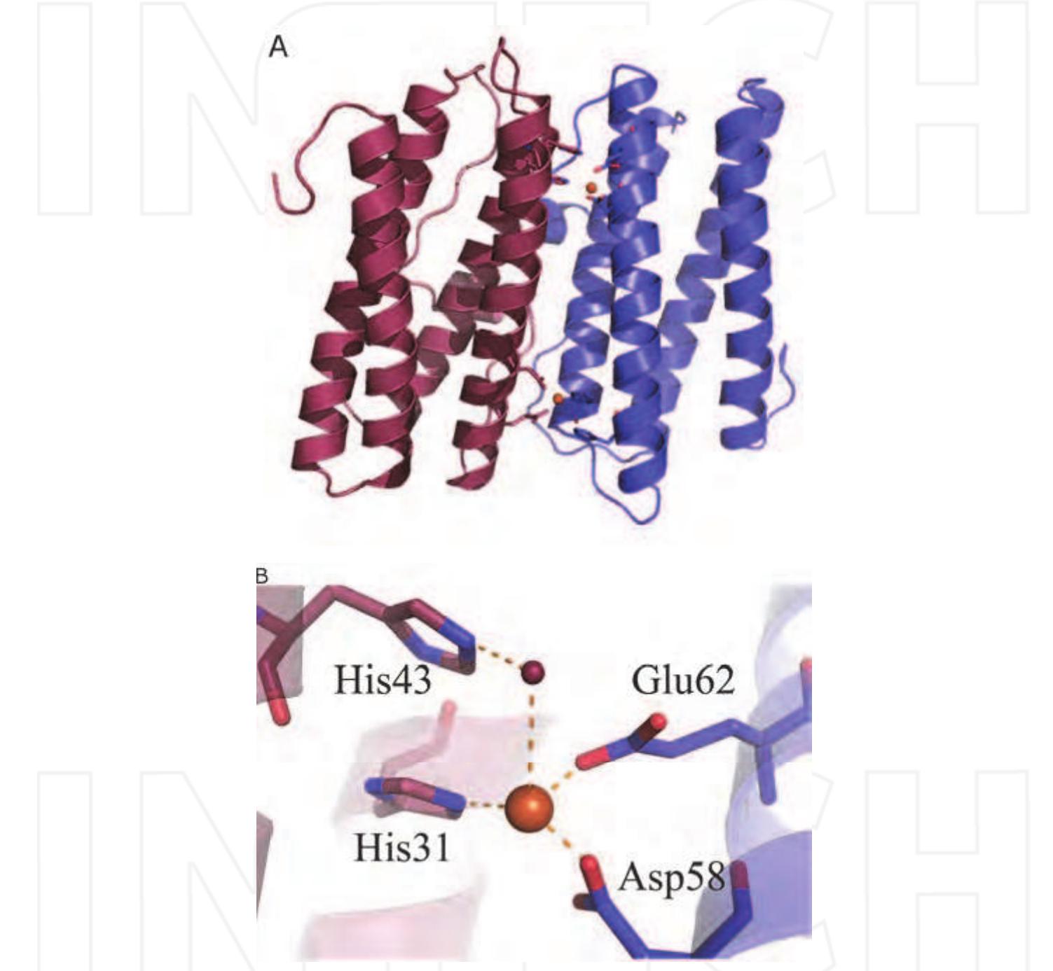 Figure 1 - from Biomimetic Materials Synthesis from