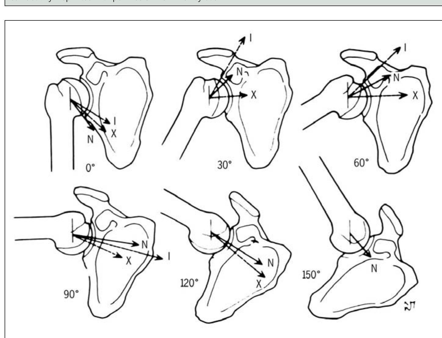 The proper alignment of the upper extremity during the prone