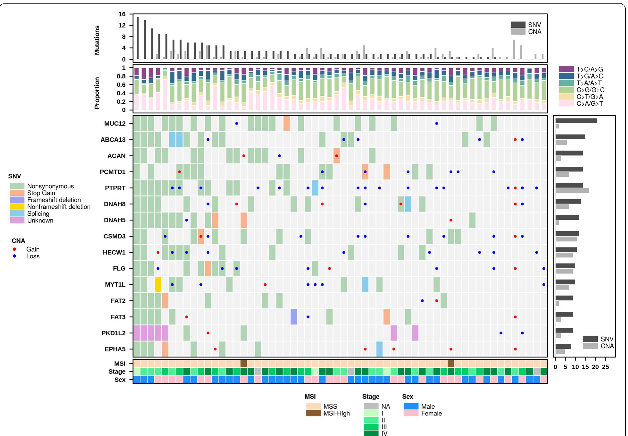 Dotmap Figure 1 - from BPG: Seamless, Automated and Interactive