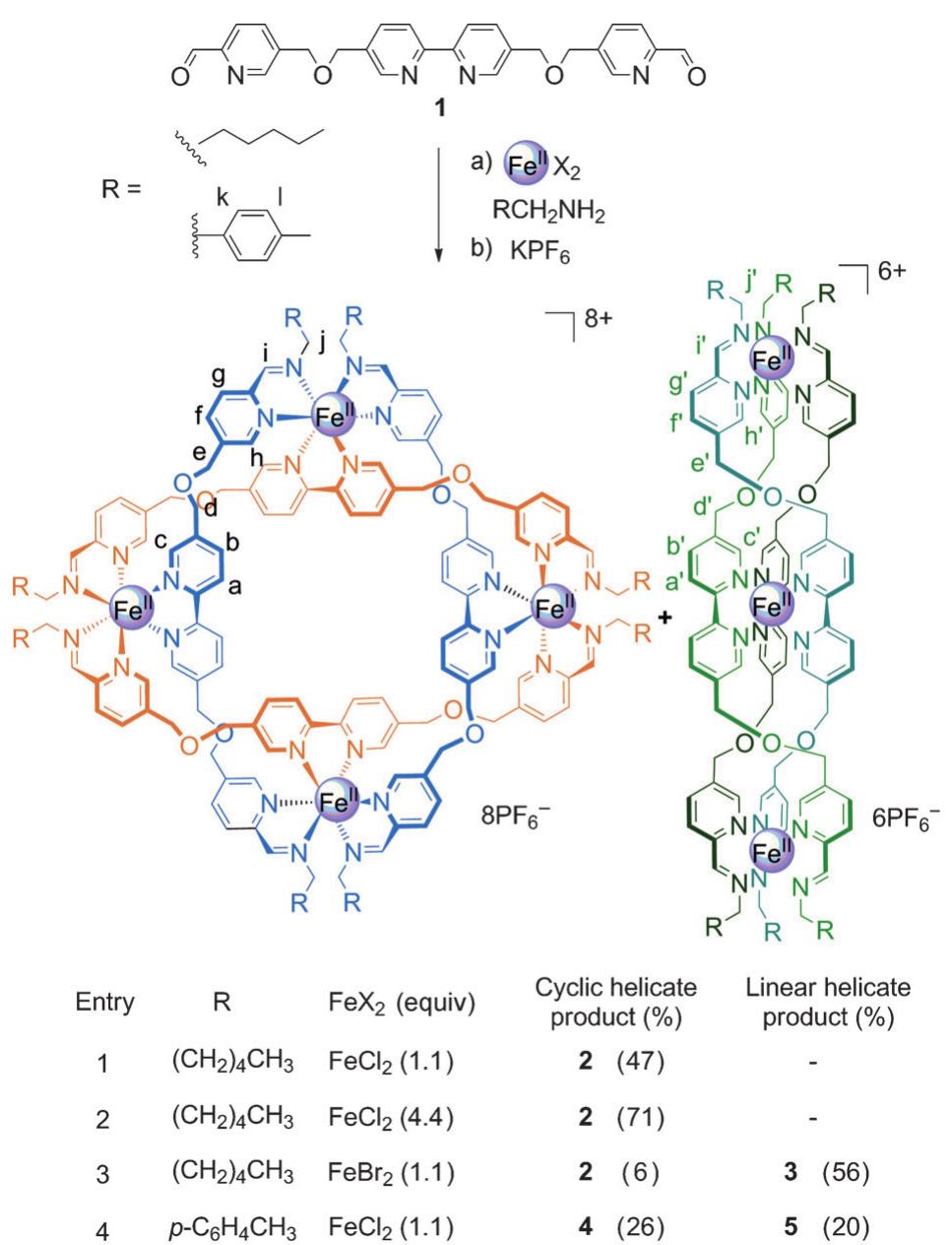 (PDF) Tetrameric Cyclic Double Helicates as a Scaffold for a Molecular ...