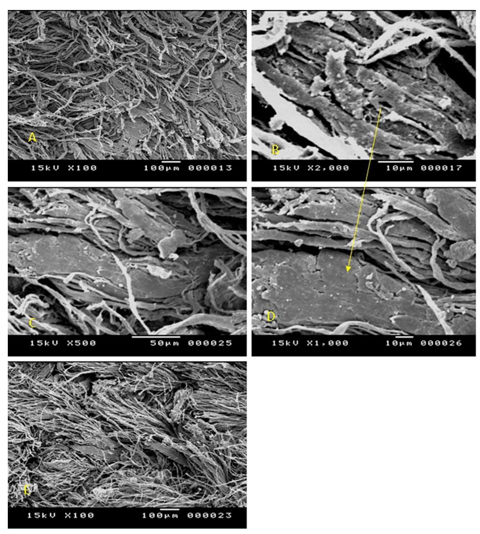 aging. Recently, it has been discovered that aloe vera gel contains polyphenols [46, 47].  4 Conclusion  The unique properties of aloe vera gel have contributed to reducing leather oxidation processes during accelerated aging, leading to a slight reduction of the mechanical prop- erties as compared to untreated samples. As well, the gel supported the protein structure by increasing the intensi- ties of vibrations for amides I, IJ and III, enhancing the  strength of alpha helix structure. The polyphenols o  gel  played a significant role in reducing leather color change  during thermal aging inasmuch its high resistance to dation. Oxidation resistance is one of the first defense against degradation of organic matter therefore aloe  Oxi- ines vera  gel protect leather during aging systematic. On the mor-  phological level, the used concentration penetrated  the 