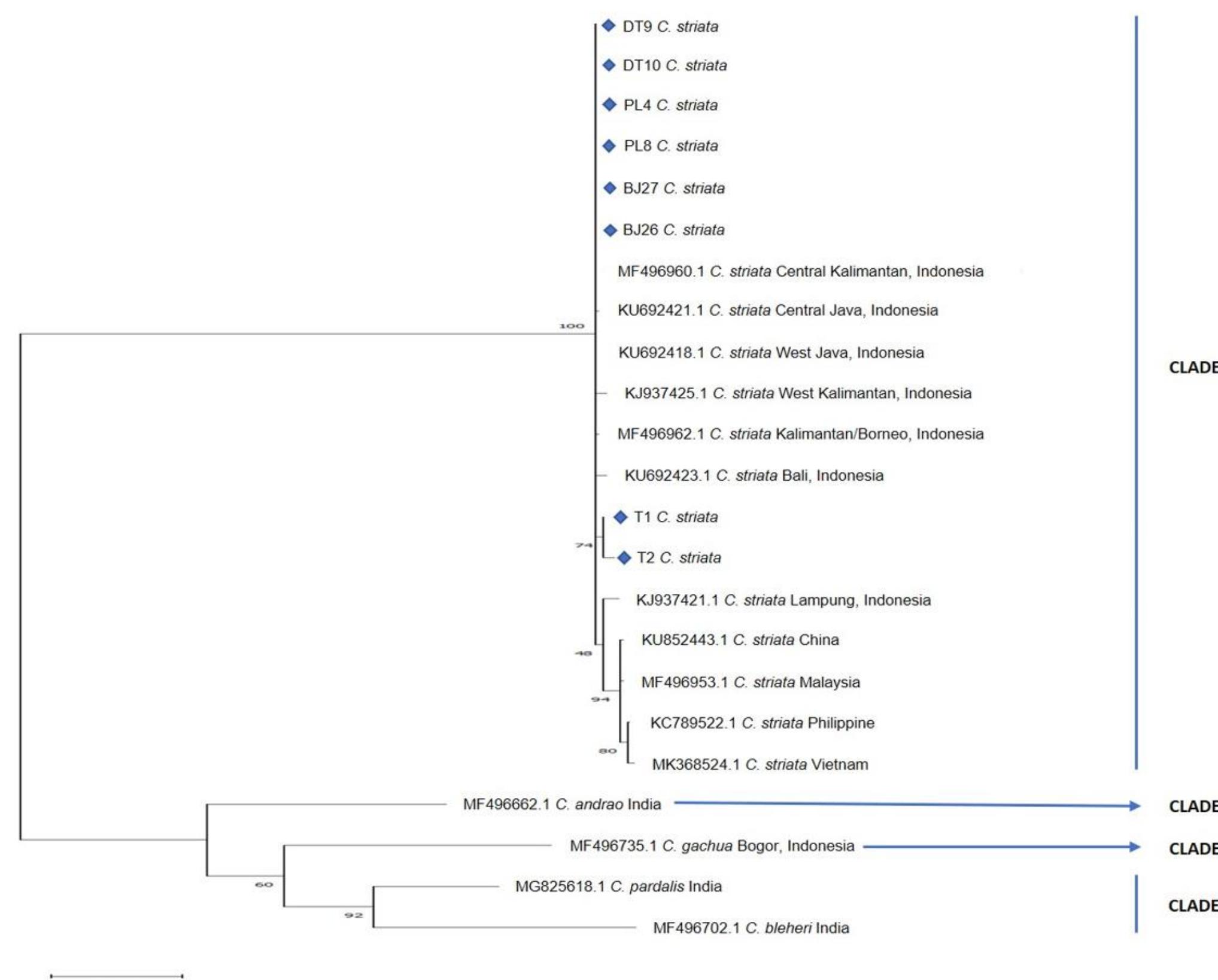 (PDF) Identification, genetic diversity, and comparative evolution of ...