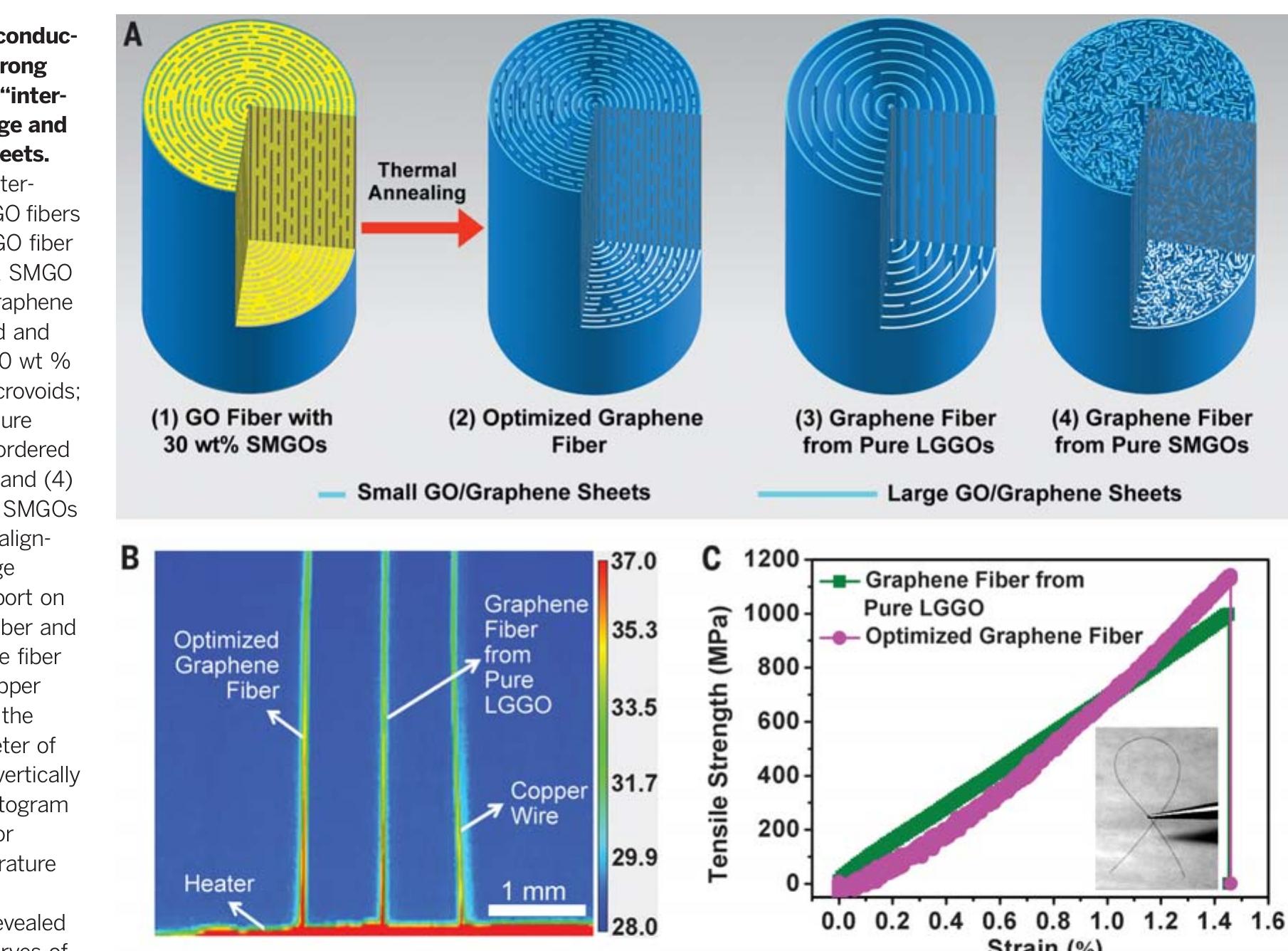 (PDF) Highly thermally conductive and mechanically strong graphene fibers