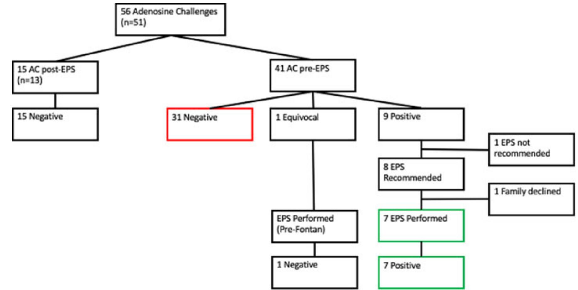 (PDF) Utility and Safety of Adenosine Challenge for Subtle Ventricular ...