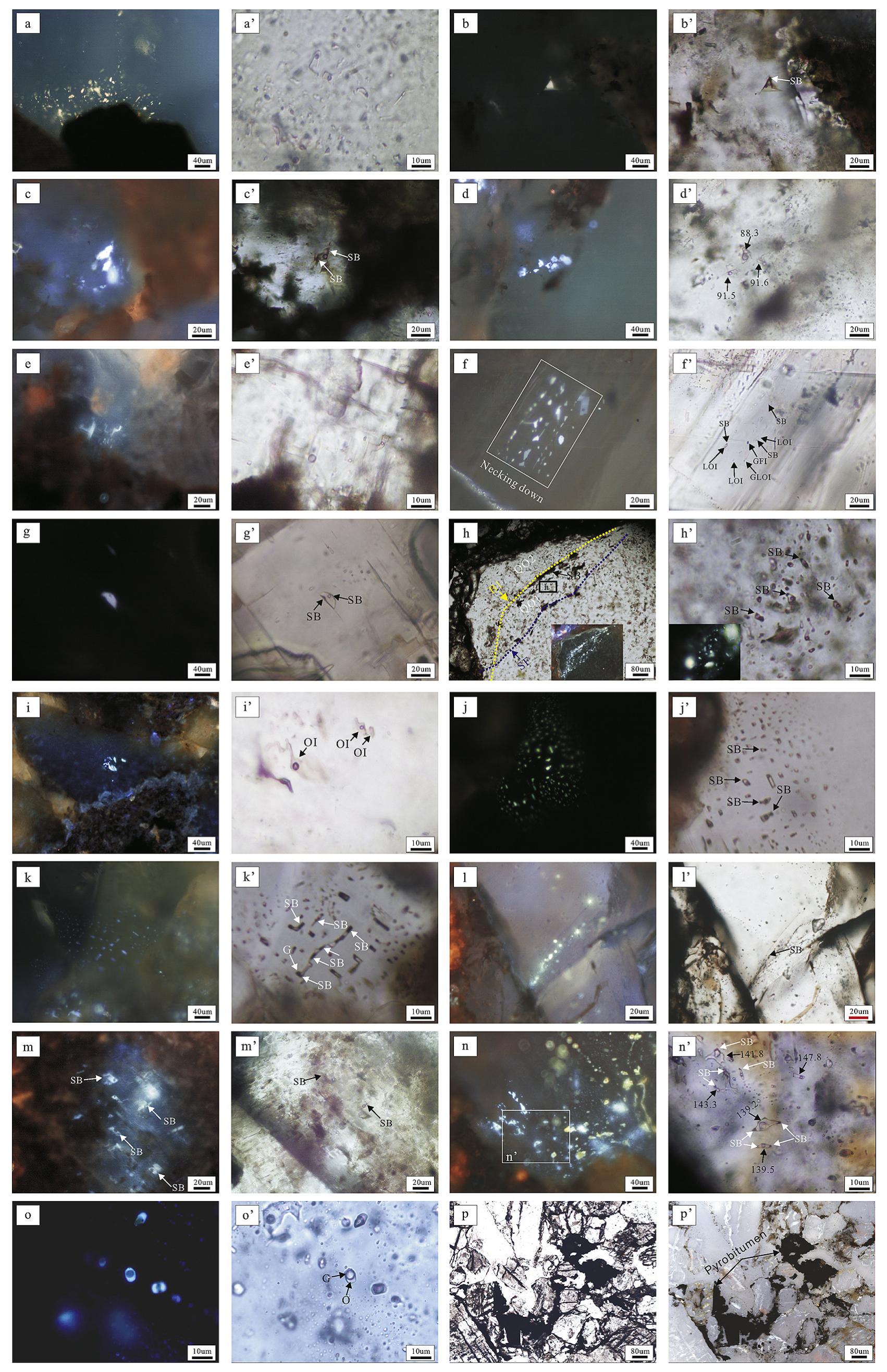 Photomicrographs of oil inclusions and pyrobitumen in the