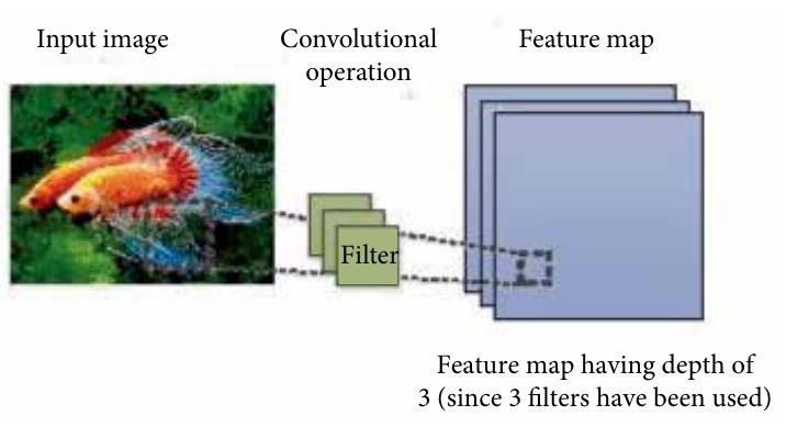 (PDF) Fish Detection Using Deep Learning