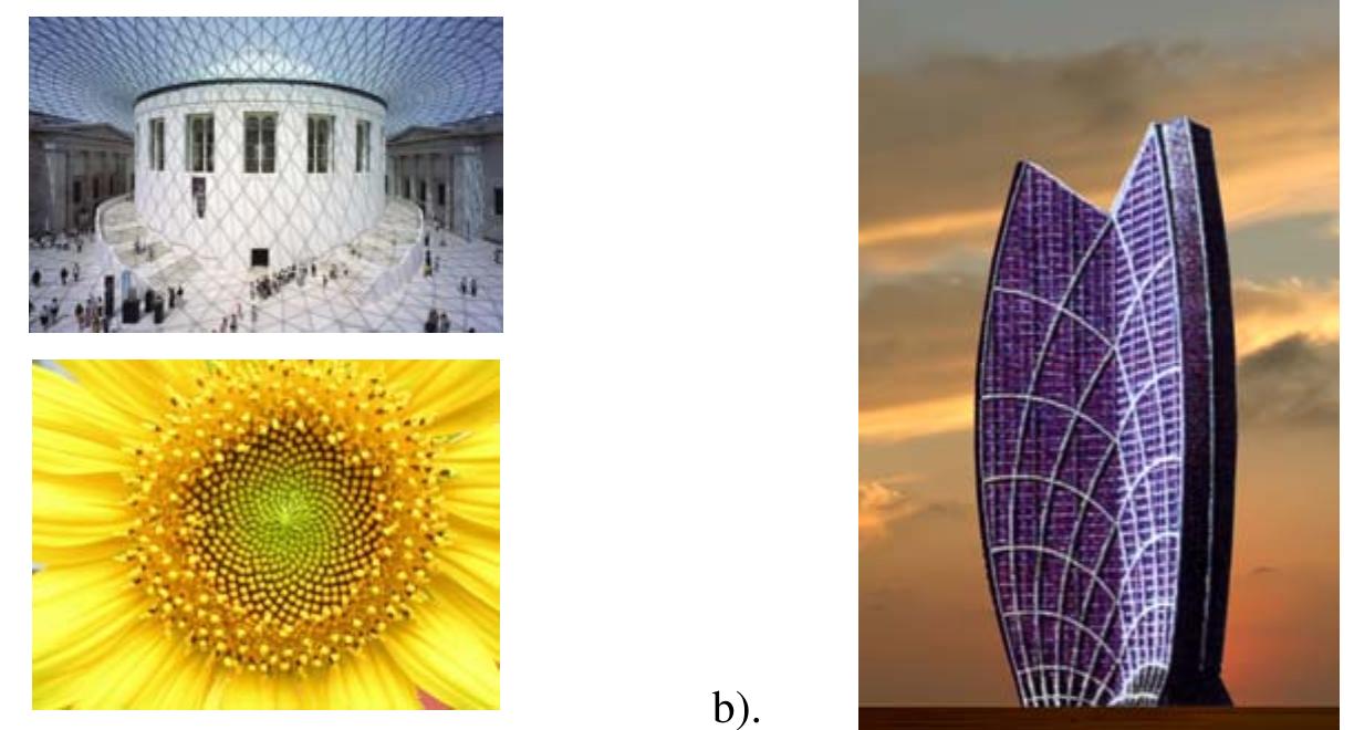 Nature Structure Examples (PDF) Structural Morphology
