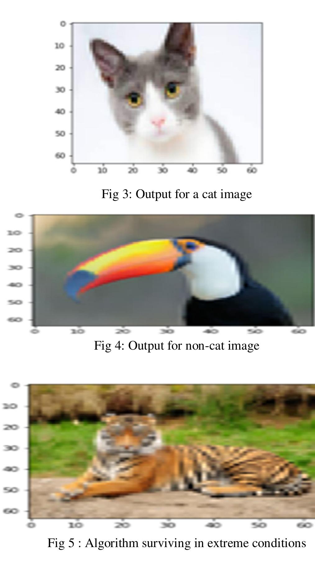 (PDF) Binary Image Classification using Deep Learning from Scratch