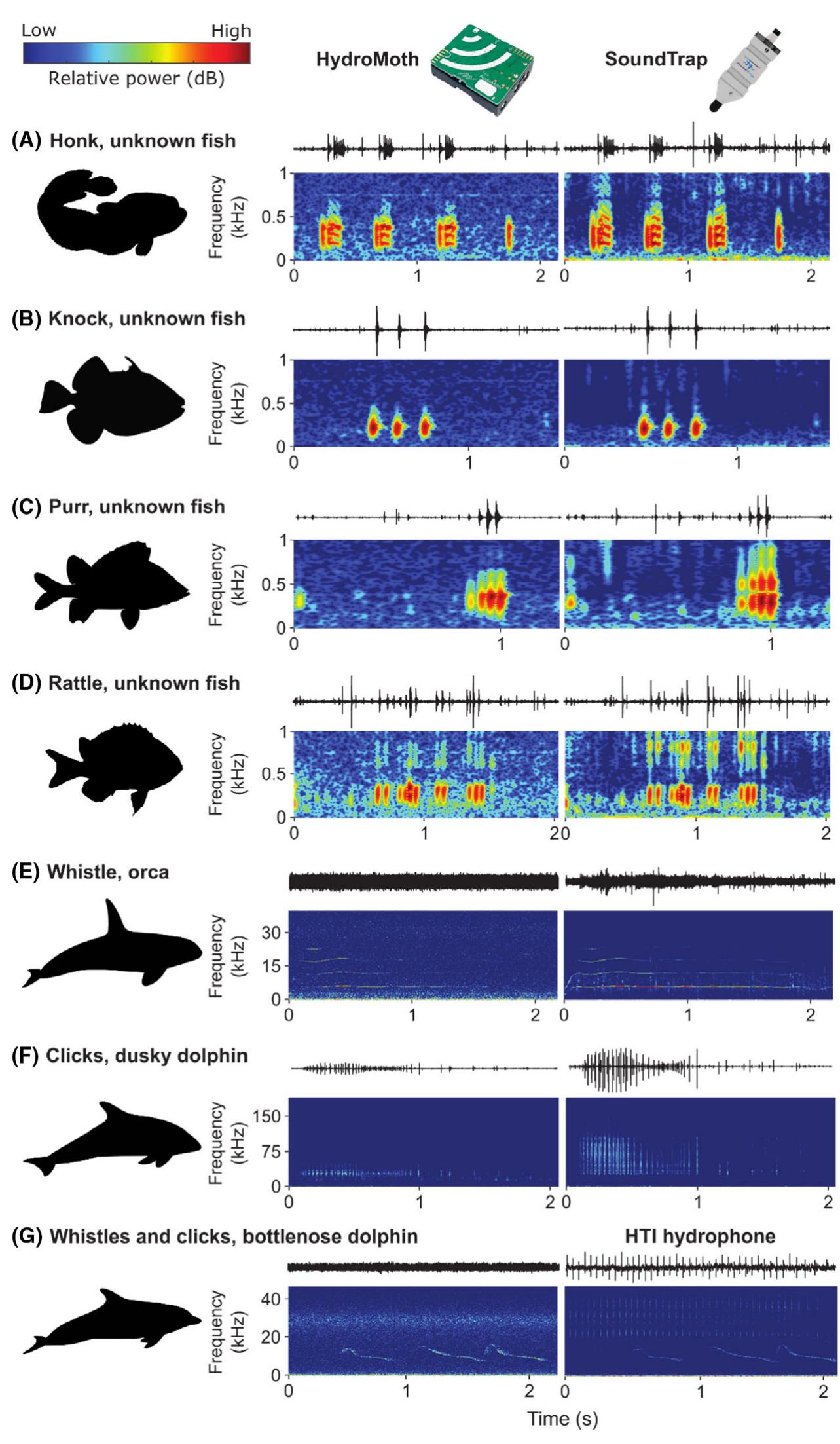 Fish Wave Forms (PDF) HydroMoth: Testing a prototype low‐cost acoustic recorder for ...
