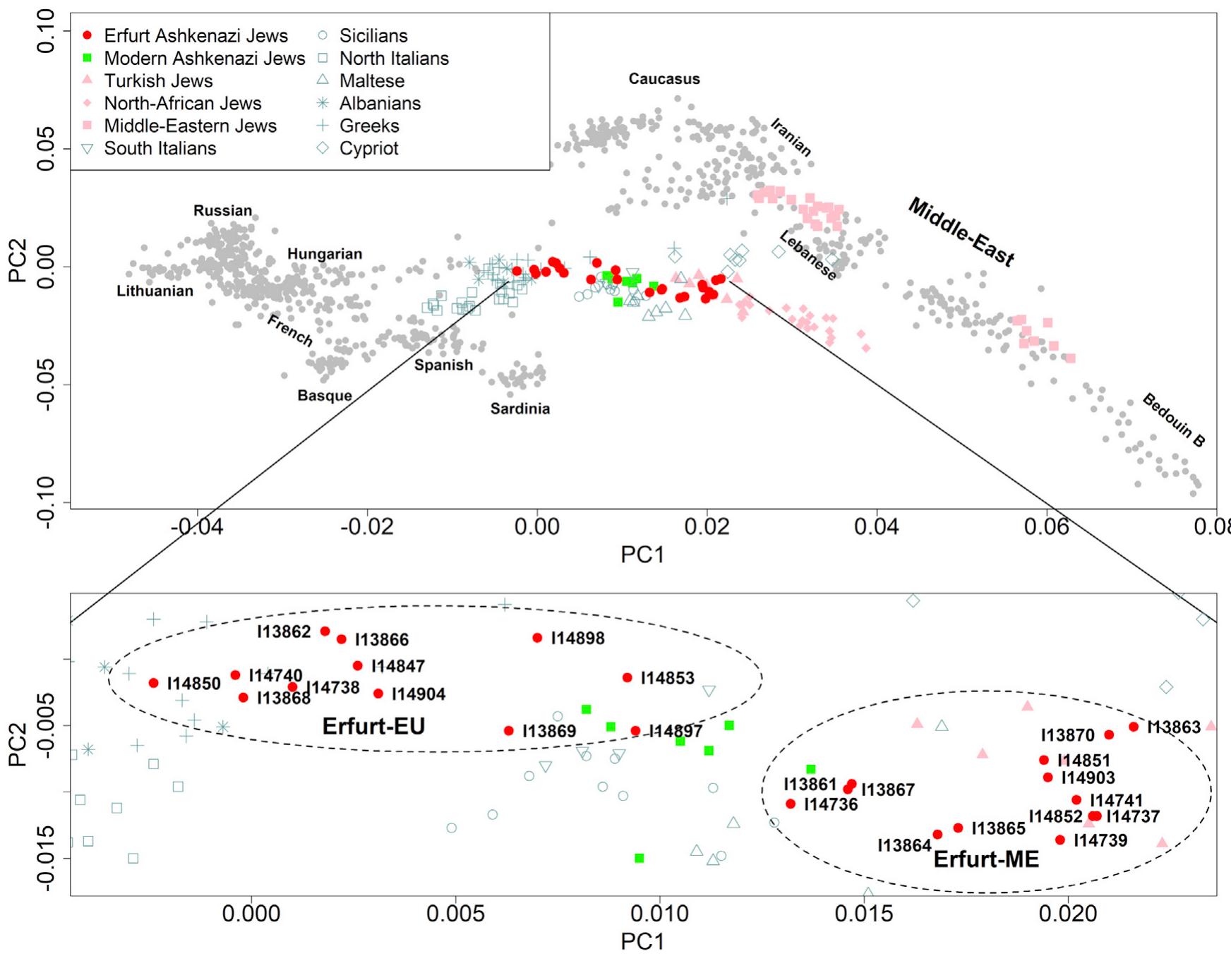 Figure 2. Principal components analysis  We learned the principal components (PCs) using West Eurasian populations (Lazaridis et al., 2014) and projected the Erfurt individuals (filled red circles) onto th inferred axes. Modern Ashkenazi Jews (green squares), Jews of non-Ashkenazi origin (pink shapes), and Mediterranean populations (teal shapes) are highlightec The inset zooms in on the region that contains Ad individuals.  See also Figure S2. 