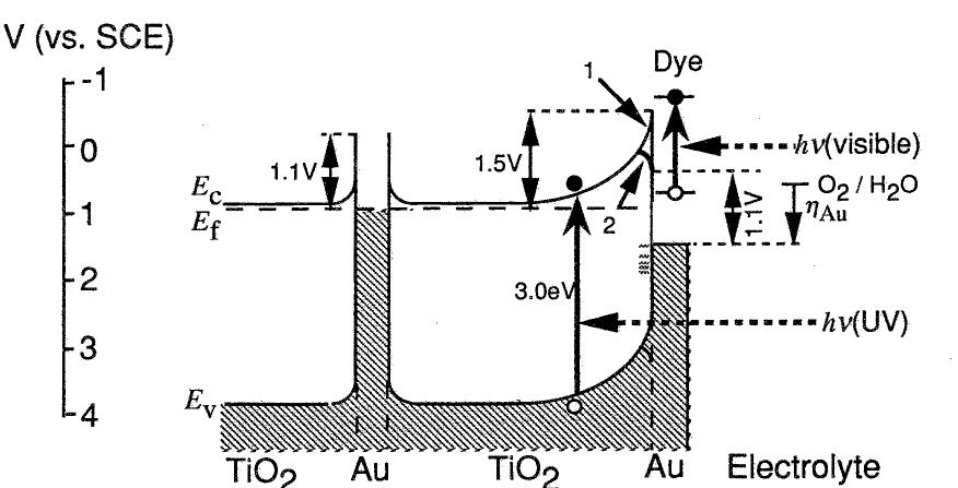 The energy band diagram of a tio, film electrode with