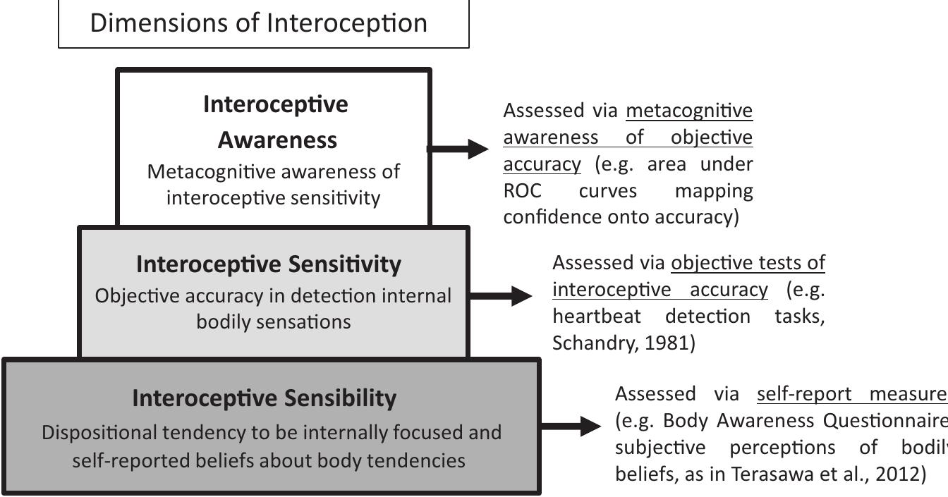 Dimensions of interoception: schematic figure depicting
