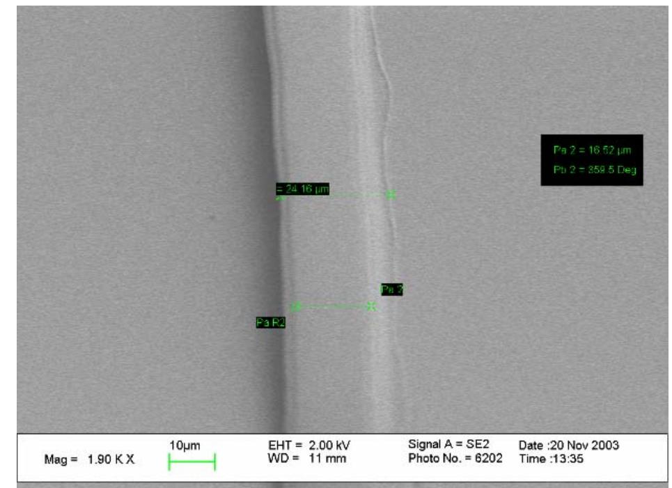 Figure 5. SEM image of a laser-defined waveguide 