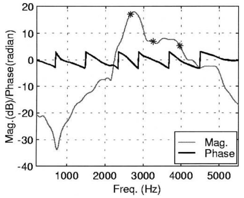 Figure 1 - from Band-limited feedback cancellation with a