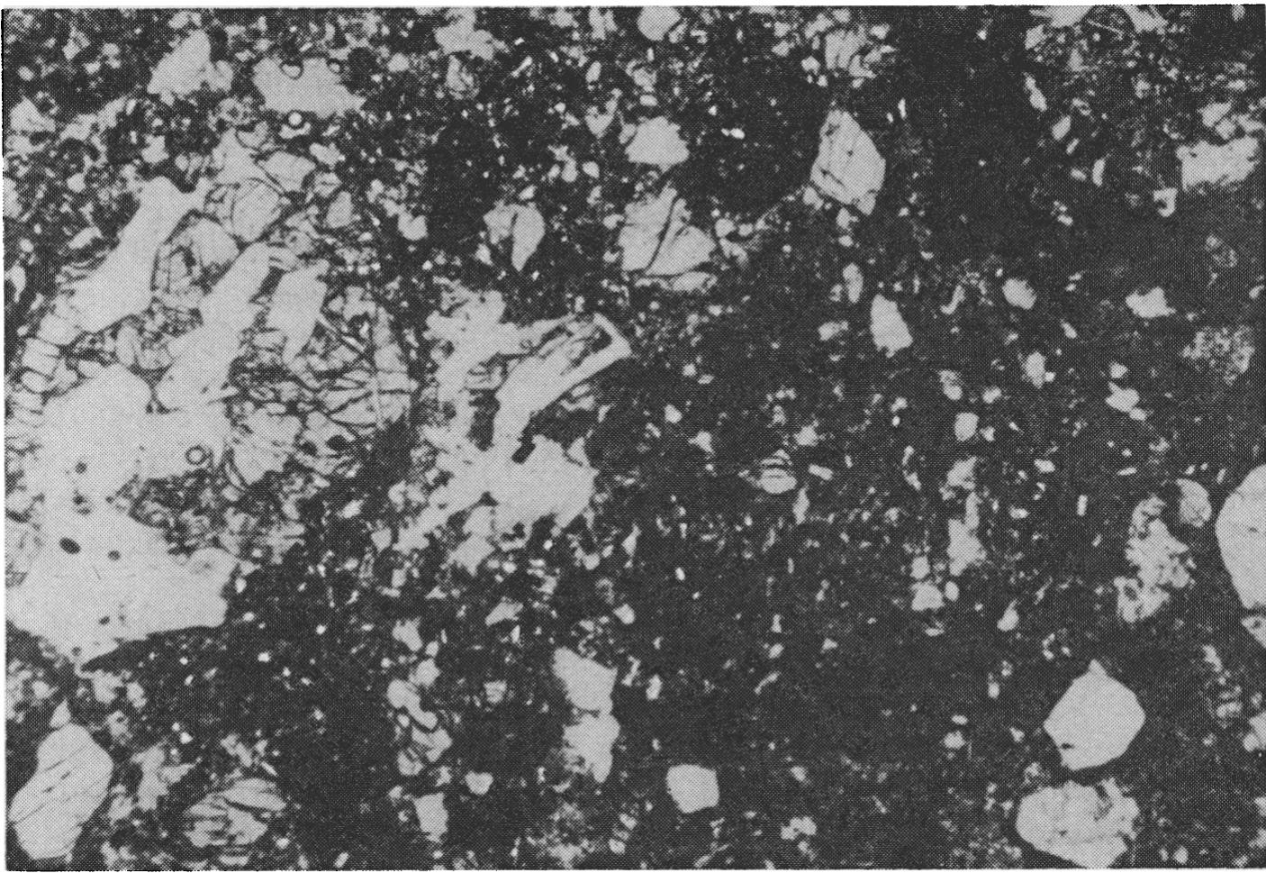 Photomicrograph of a thin section of rock 14301 illustrating