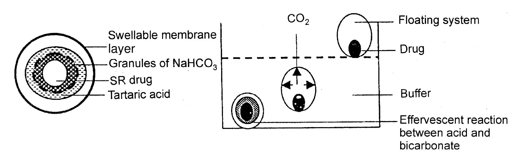 Capsule Type Float (PDF) A Review on Floating Drug Delivery System