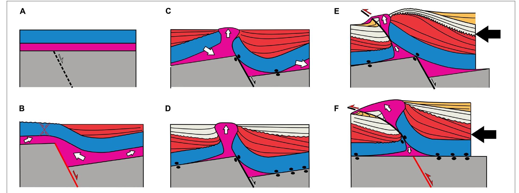 (PDF) Stretching and Contraction of Extensional Basins With Pre-Rift ...
